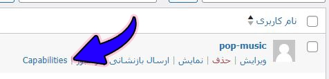 وارد بخش Capabilities شوید