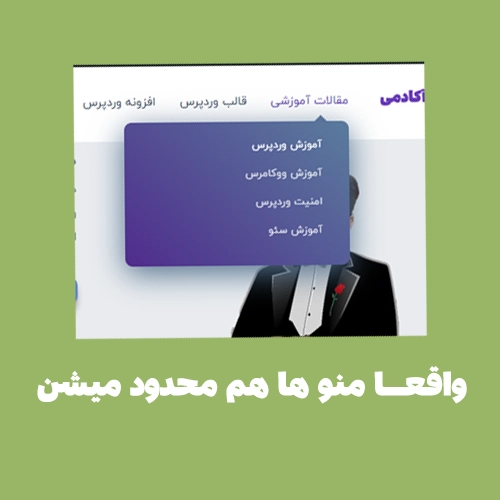 حل مشکل محدودیت منو و فهرست ها در وردپرس