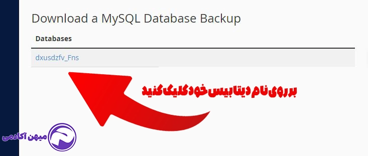 دیتابیس خود را انتخاب کنید تا نسخه پشتیبان تهیه شود