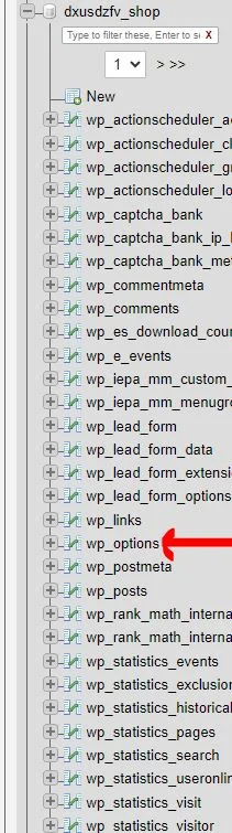 wp-options در phpmyadmin