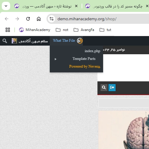 آموزش کار با افزونه What The File