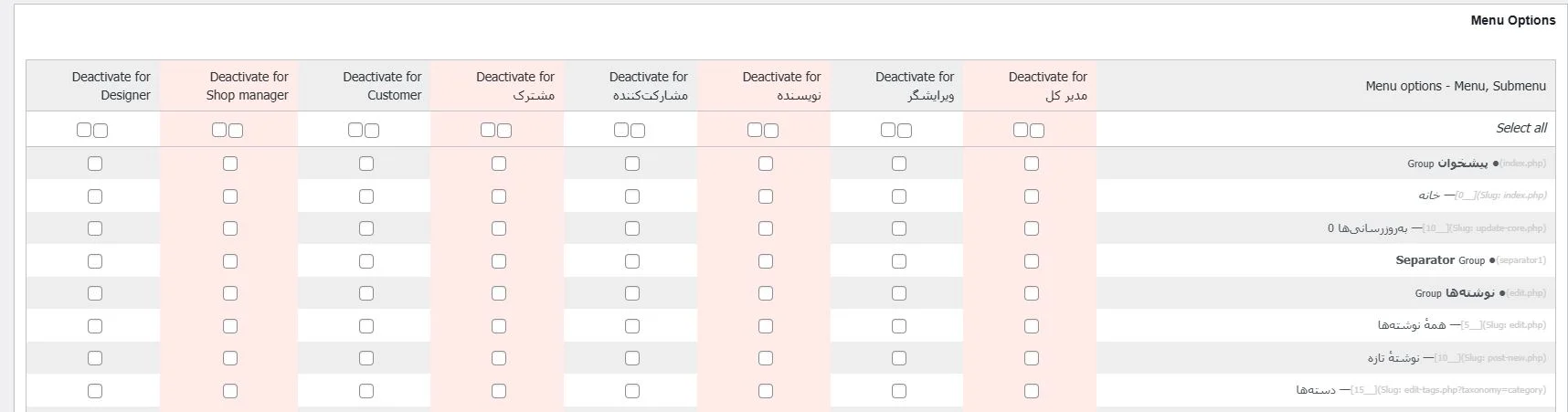 Menu options (تنظیمات منو وردپرس)