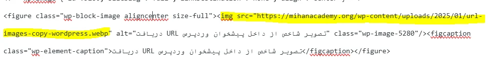 استفاده از کدهای HTML برای دسترسی به URL