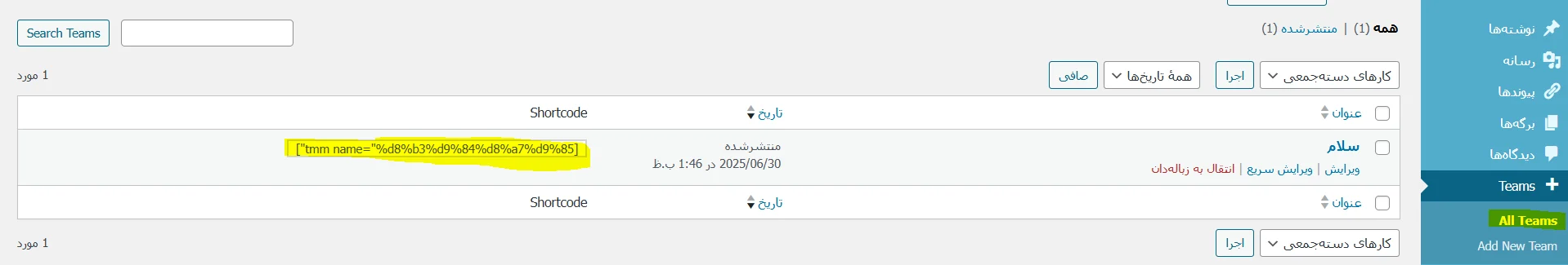 نمایش تیم ساخته شده در سایت وردپرس